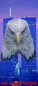i'm the eagle, watching over you