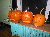 pumpkin3